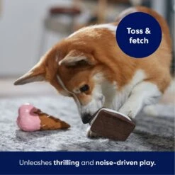 Frisco Ice Cream Sandwich & Ice Cream Cone Latex Squeaky Dog Toy -Frisco Sales Store 213840 PT3. AC SS1800 V1695242030