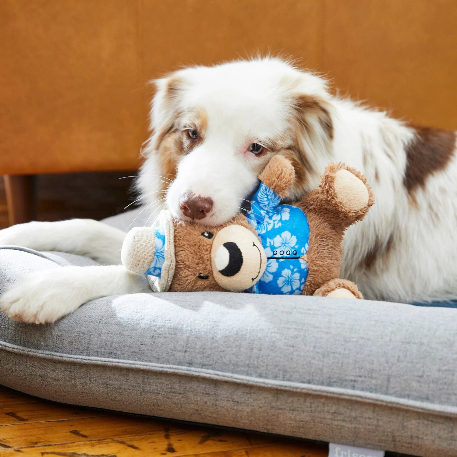 Frisco Summer Fun Plush Bear Squeaky Dog Toy Frisco Summer Fun Plush Bear Squeaky Dog Toy -Frisco Sales Store 214659 PT6. AC SS1800 V1597596384