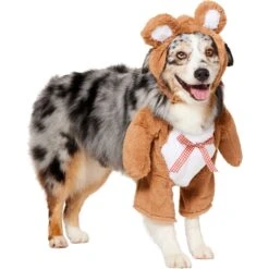 Frisco Front Walking Teddy Bear Dog & Cat Costume -Frisco Sales Store 215507 PT3. AC SS1800 V1624402415