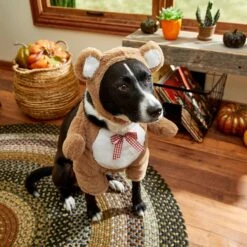 Frisco Front Walking Teddy Bear Dog & Cat Costume -Frisco Sales Store 215507 PT8. AC SS1800 V1689628224