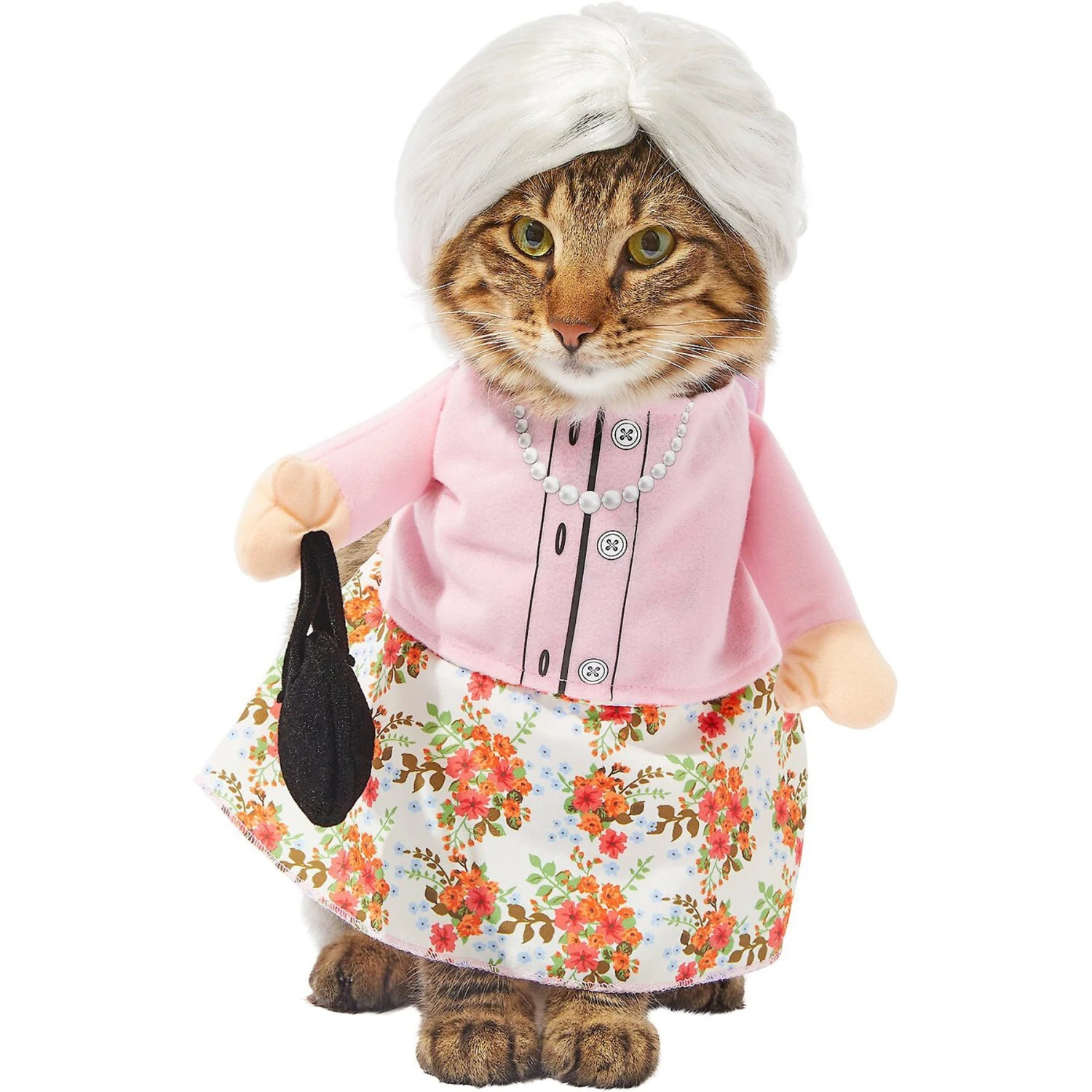 Frisco Front Walking Granny Dog & Cat Costume Frisco Front Walking Granny Dog & Cat Costume -Frisco Sales Store 215577 MAIN. AC SS1800 V1625075692