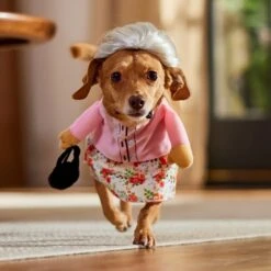 Frisco Front Walking Granny Dog & Cat Costume 8 Frisco Front Walking Granny Dog & Cat Costume -Frisco Sales Store 215577 PT8. AC SS1800 V1689621333