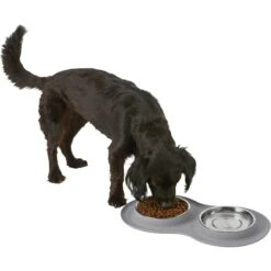 Frisco Double Stainless Steel Pet Bowl With Silicone Mat -Frisco Sales Store 215986 PT5. AC SS1800 V1605652436