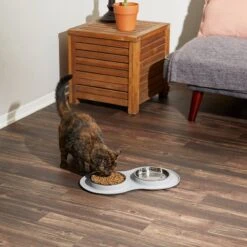 Frisco Double Stainless Steel Pet Bowl With Silicone Mat -Frisco Sales Store 215986 PT6. AC SS1800 V1605657710