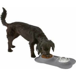 Frisco Silicone Stainless Steel Double Diner Dog & Cat Bowl 5 Frisco Silicone Stainless Steel Double Diner Dog & Cat Bowl -Frisco Sales Store 215990 PT5. AC SS1800 V1605662218