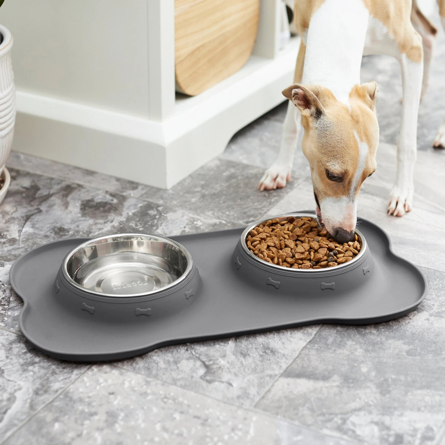 Frisco Silicone Stainless Steel Double Diner Dog & Cat Bowl Frisco Silicone Stainless Steel Double Diner Dog & Cat Bowl -Frisco Sales Store 215990 PT7. AC SS1800 V1605658625