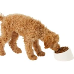 Frisco Slanted Stainless Steel Bowl 5 Frisco Slanted Stainless Steel Bowl -Frisco Sales Store 216028 PT6. AC SS1800 V1605666119