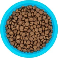 Frisco Plastic Suction Bowl, Blue -Frisco Sales Store 216037 PT4. AC SS1800 V1591020655