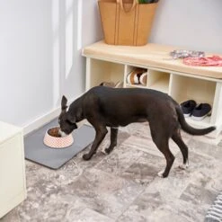 Frisco Southwest Melamine Bowl 6 Frisco Southwest Melamine Bowl -Frisco Sales Store 216064 PT7. AC SS1800 V1605653262