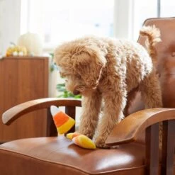 Frisco Halloween Candy Corn Plush Squeaky Dog Toy -Frisco Sales Store 218619 PT6. AC SS1800 V1597599676
