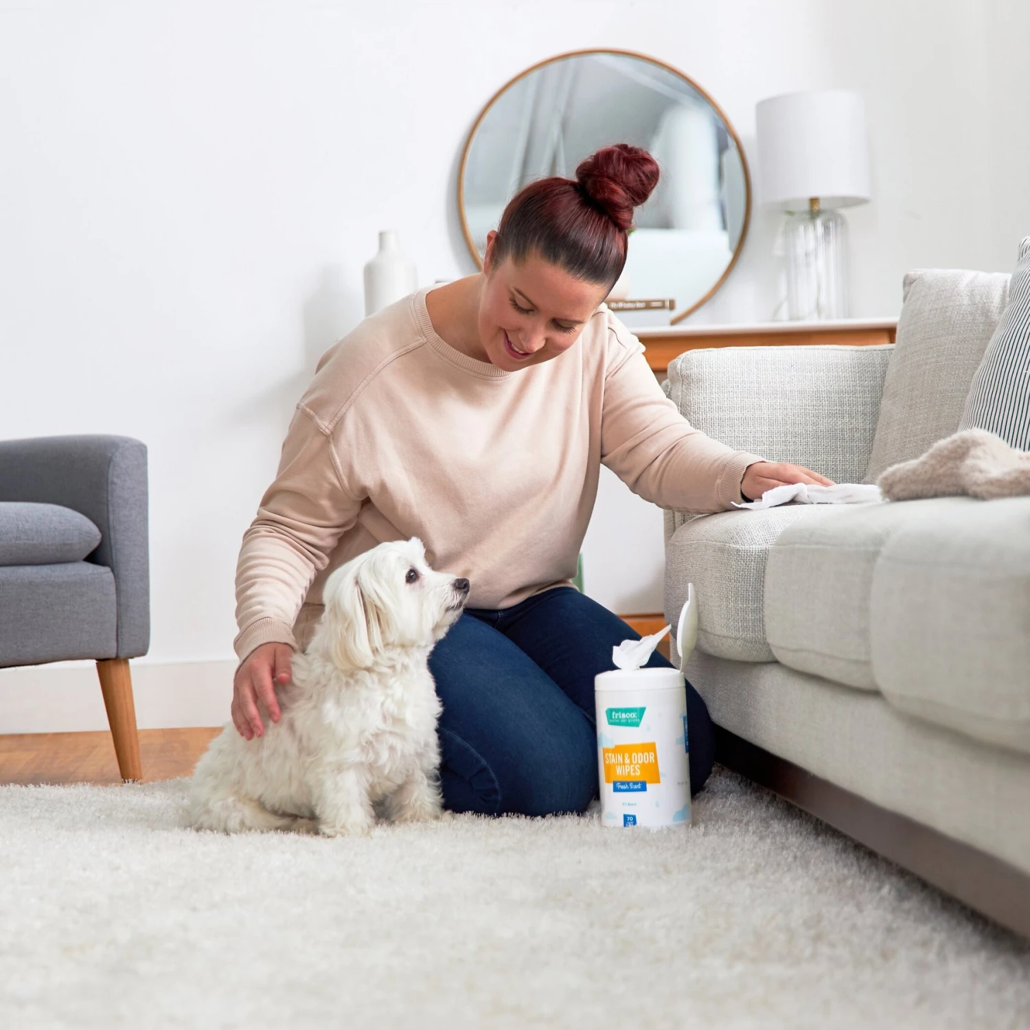 Frisco Stain & Odor Remover Wipes, 70 count Frisco Stain & Odor Remover Wipes, 70 Count -Frisco Sales Store 222149 PT1. AC SS1800 V1602837983