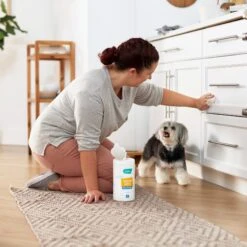 Frisco Vinegar Cleaning Wipes, 70 Count 4 Frisco Vinegar Cleaning Wipes, 70 Count -Frisco Sales Store 222151 PT4. AC SS1800 V1602847932