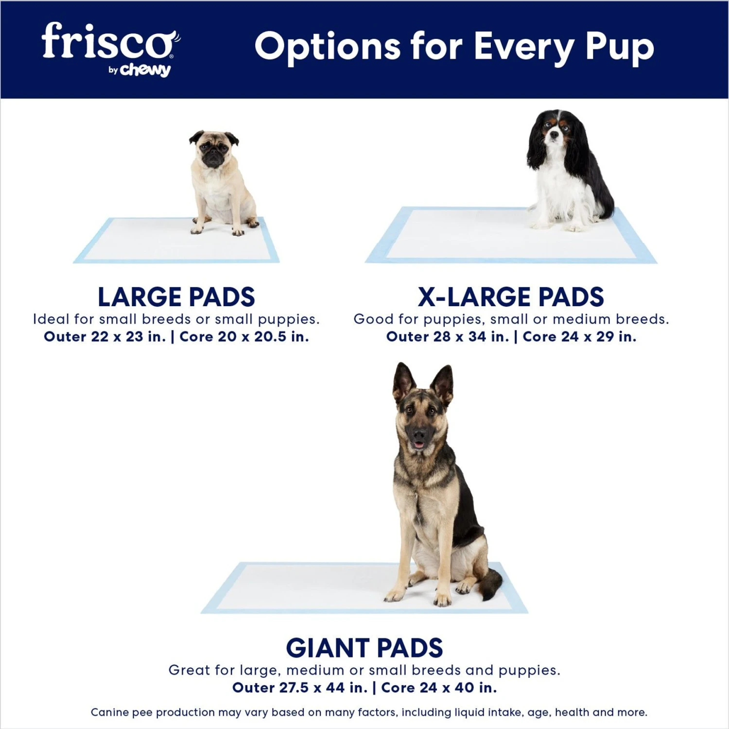 Frisco Printed Dog Training & Potty Pads Frisco Printed Dog Training & Potty Pads -Frisco Sales Store 227465 PT3. AC SS1800 V1674664814