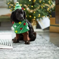 Frisco Front Walking Christmas Tree Dog & Cat Costume 5 Frisco Front Walking Christmas Tree Dog & Cat Costume -Frisco Sales Store 229164 PT7. AC SS1800 V1601385981