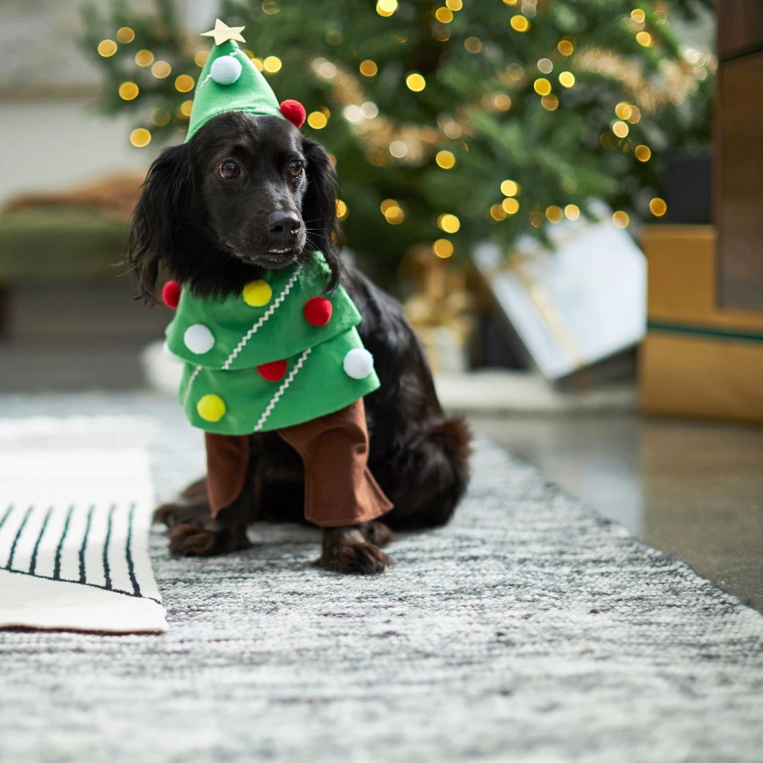 Frisco Front Walking Christmas Tree Dog & Cat Costume Frisco Front Walking Christmas Tree Dog & Cat Costume -Frisco Sales Store 229164 PT7. AC SS1800 V1601385981