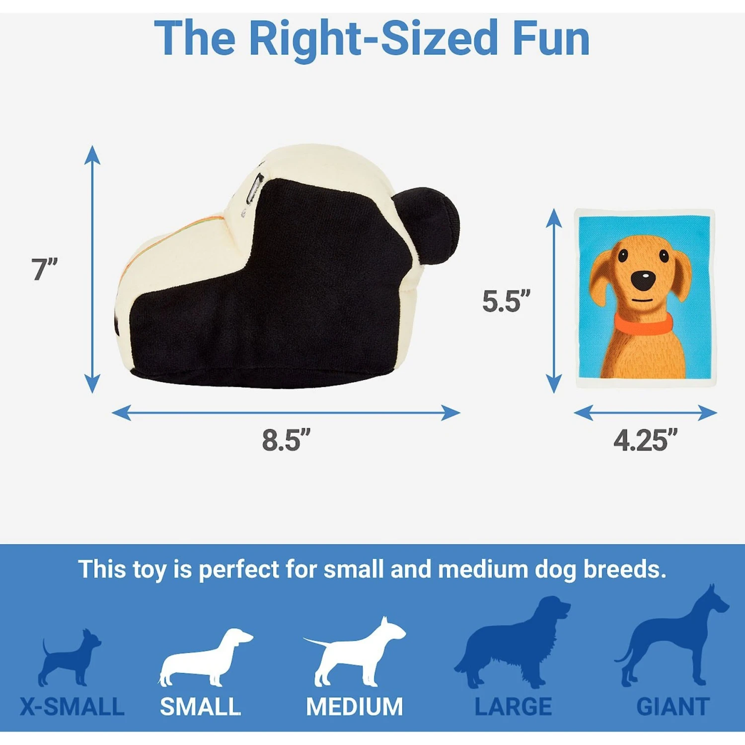 Frisco Retro Camera 2-in-1 Rip for Surprise Plush Squeaky Dog Toy Frisco Retro Camera 2-in-1 Rip For Surprise Plush Squeaky Dog Toy -Frisco Sales Store 230306 PT1. AC SS1800 V1599945060