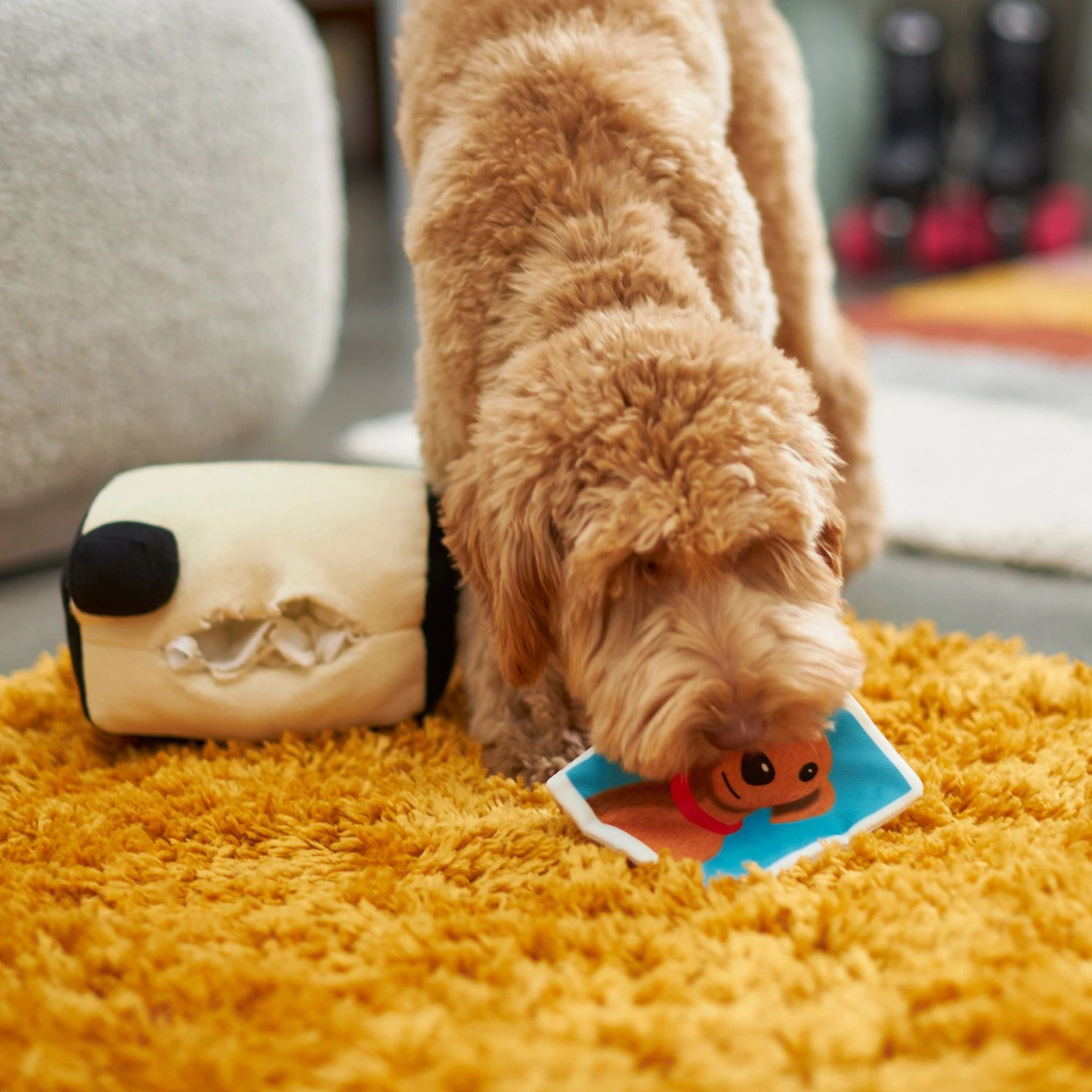 Frisco Retro Camera 2-in-1 Rip for Surprise Plush Squeaky Dog Toy Frisco Retro Camera 2-in-1 Rip For Surprise Plush Squeaky Dog Toy -Frisco Sales Store 230306 PT3. AC SS1800 V1602639779