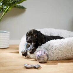 Frisco Retro Plush Squeaky Disco Dog Toy 2 Frisco Retro Plush Squeaky Disco Dog Toy -Frisco Sales Store 230349 PT3. AC SS1800 V1600973789