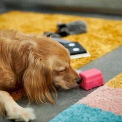 Frisco Retro Funky Van TPE Treat Dispenser Dog Toy, Medium/Large 3 Frisco Retro Funky Van TPE Treat Dispenser Dog Toy, Medium/Large -Frisco Sales Store 230383 PT4. AC SS1800 V1669908614