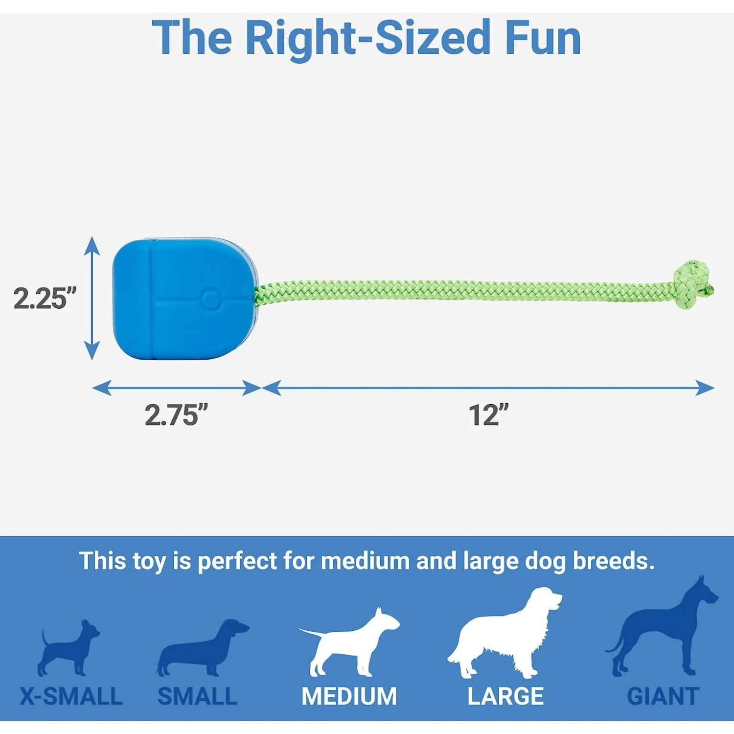 Frisco Retro PC Mouse Rubber Tug & Fetch Dog Toy Frisco Retro PC Mouse Rubber Tug & Fetch Dog Toy -Frisco Sales Store 230385 PT1. AC SS1800 V1599943590