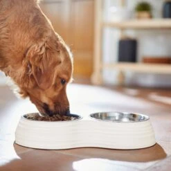 Frisco Stainless Steel Double Dog Bowls With Melamine Stand -Frisco Sales Store 232092 PT7. AC SS1800 V1693015855