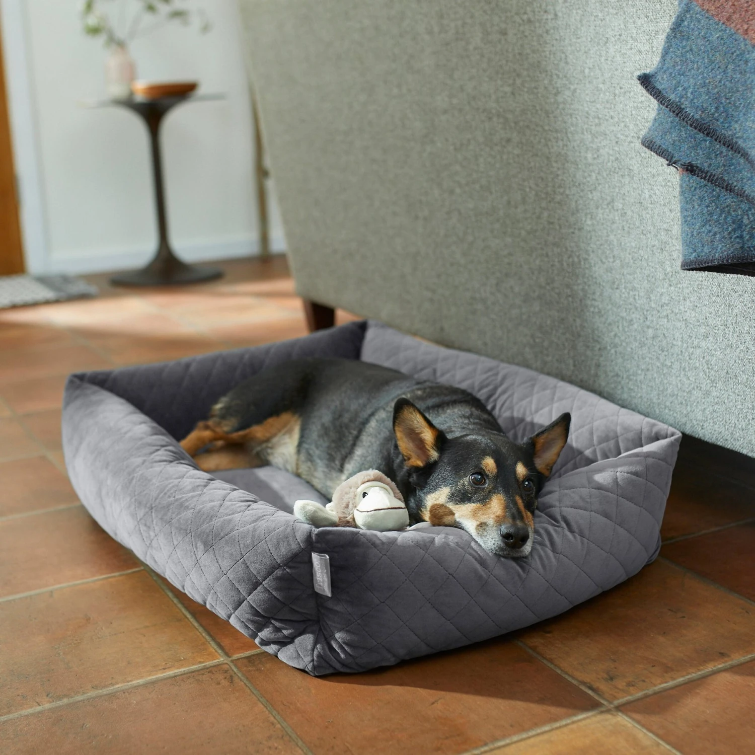 Frisco Velvet Rectangular Bolster Cat & Dog Bed Frisco Velvet Rectangular Bolster Cat & Dog Bed -Frisco Sales Store 232181 MAIN. AC SS1800 V1602690494
