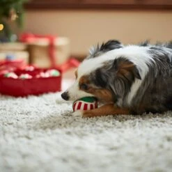 Frisco Holiday Wreath Fetch Squeaky Tennis Ball Dog Toy -Frisco Sales Store 233189 PT3. AC SS1800 V1665759769