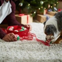 Frisco Holiday Wreath Fetch Squeaky Tennis Ball Dog Toy -Frisco Sales Store 233189 PT5. AC SS1800 V1601919657