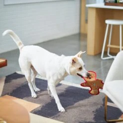 Frisco Holiday Gingerbread Man Flat Plush Squeaky Dog Toy -Frisco Sales Store 233241 PT2. AC SS1800 V1601311903