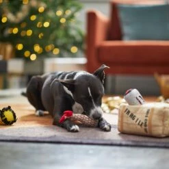 Frisco Holiday Fragile Box Hide & Seek Puzzle Plush Squeaky Dog Toy 4 Frisco Holiday Fragile Box Hide & Seek Puzzle Plush Squeaky Dog Toy -Frisco Sales Store 233274 PT4. AC SS1800 V1665759767