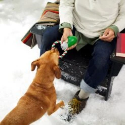 Frisco Holiday Christmas Light Rope With TPR Squeaky Dog Toy -Frisco Sales Store 233278 PT2. AC SS1800 V1601641574