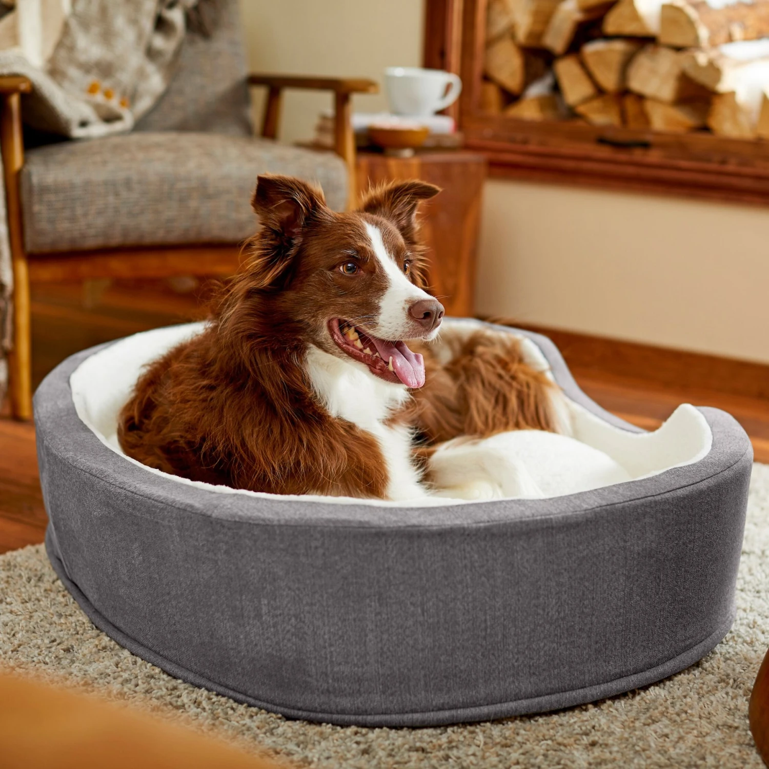 Frisco Bolster Cat & Dog Bed Frisco Bolster Cat & Dog Bed -Frisco Sales Store 235034 MAIN. AC SS1800 V1602690455