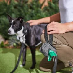 Frisco Dog Poop Bags With Fabric Dispenser -Frisco Sales Store 236998 PT6. AC SS1800 V1610772967