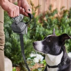 Frisco Large Size Dog Poop Bags With Fabric Dispenser -Frisco Sales Store 237013 PT6. AC SS1800 V1610762789