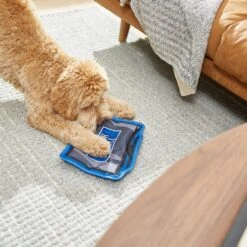 Frisco Zoomies & Chill TV Flat Plush Squeaky Dog Toy -Frisco Sales Store 241685 PT6. AC SS1800 V1610768399