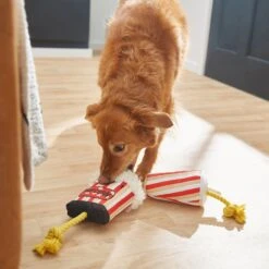 Frisco Zoomies & Chill Theatre Snacks Rope With Plush Squeaky Dog Toy -Frisco Sales Store 241689 PT6. AC SS1800 V1610768279