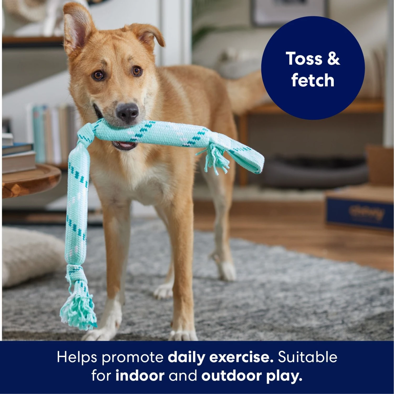 Frisco Double Fun Rope Crinkle Fetch Dog Toy Frisco Double Fun Rope Crinkle Fetch Dog Toy -Frisco Sales Store 242137 PT3. AC SS1800 V1695242178