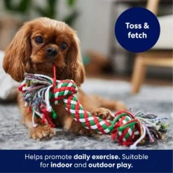 Frisco Double Knot Tri-Color Rope Fetch Dog Toy 2 Frisco Double Knot Tri-Color Rope Fetch Dog Toy -Frisco Sales Store 242149 PT3. AC SS1800 V1695241915