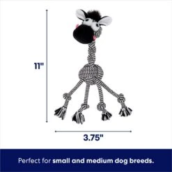 Frisco Sales Store -Frisco Sales Store 242163 PT1. AC SS1800 V1695084258