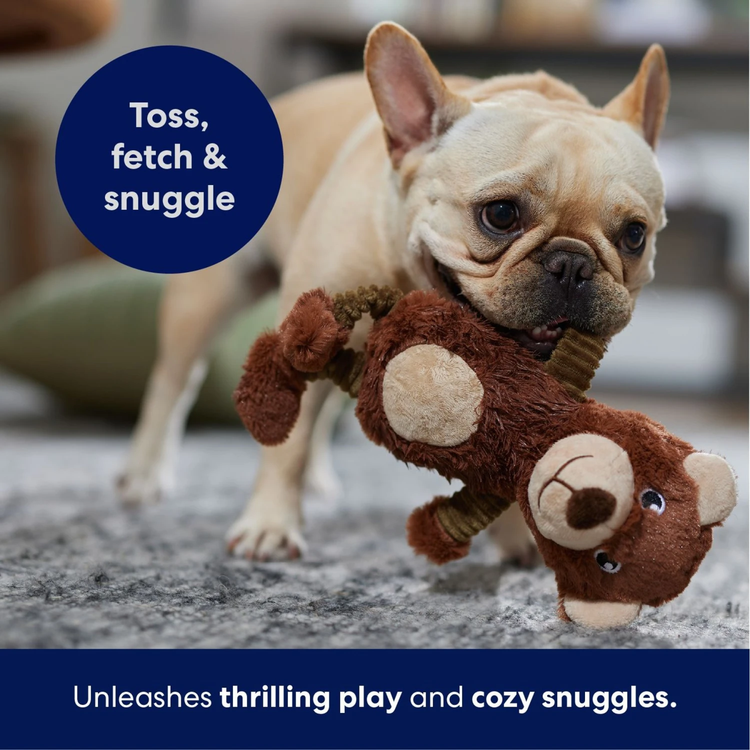 Frisco Bear Plush Squeaky Dog Toy Frisco Bear Plush Squeaky Dog Toy -Frisco Sales Store 245924 PT4. AC SS1800 V1695760929