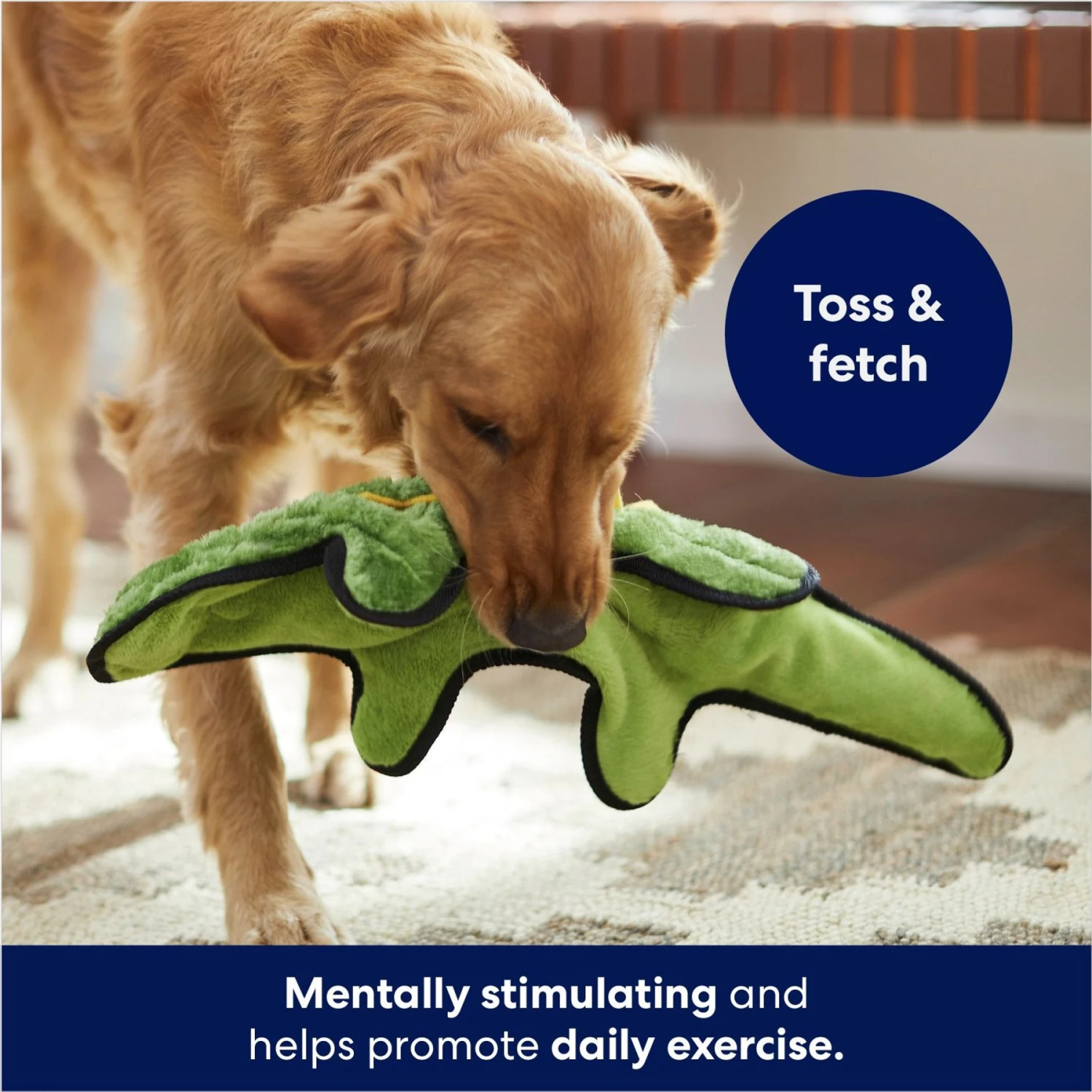 Frisco Alligator Stuffing-Free Flat Plush Squeaky Dog Toy Frisco Alligator Stuffing-Free Flat Plush Squeaky Dog Toy -Frisco Sales Store 245943 PT2. AC SS1800 V1678723898