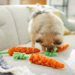 Frisco Easter Carrot Plush With Rope Dog Toy -Frisco Sales Store 248023 PT5. AC SS1800 V1608769360