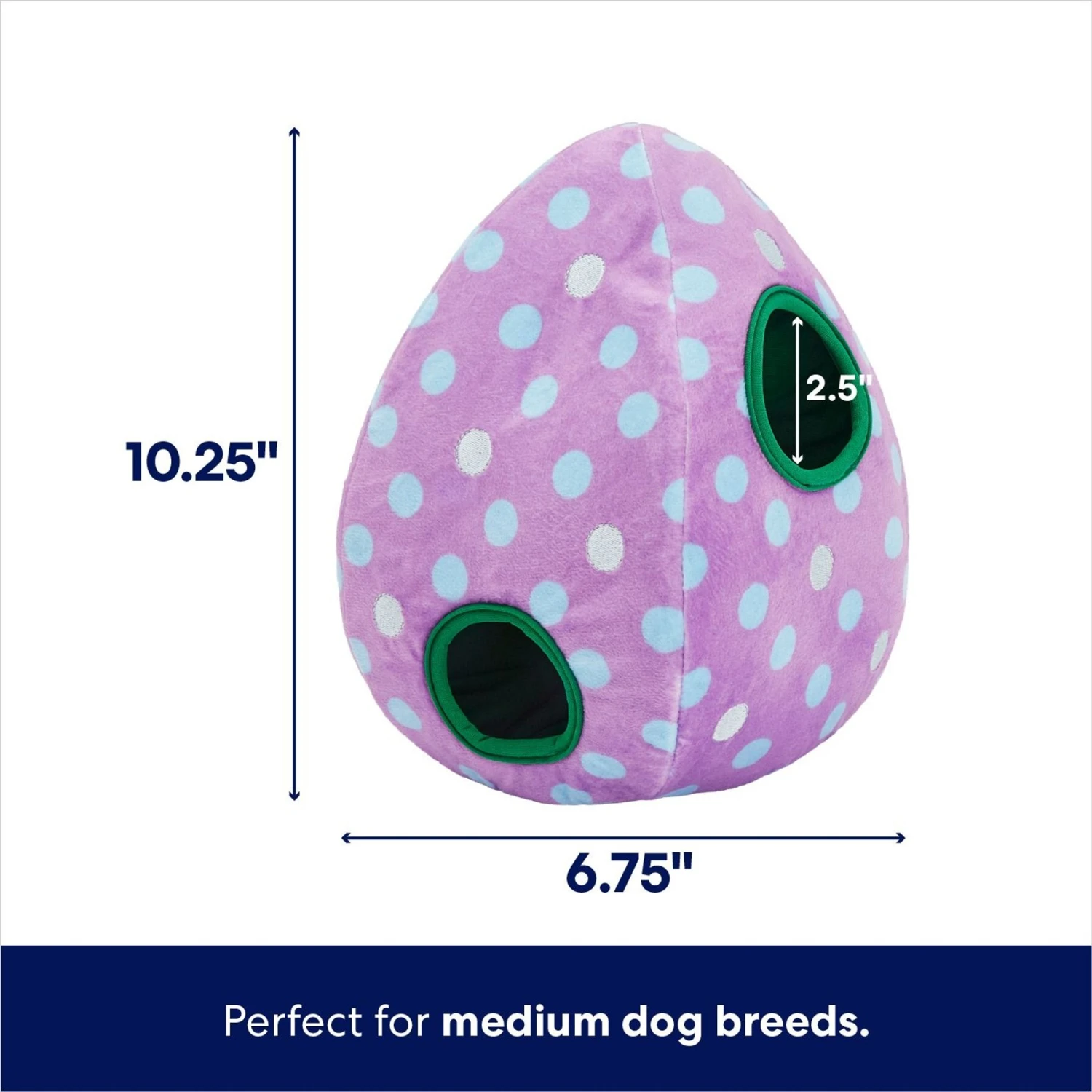 Frisco Spring Easter Egg Hide & Seek Plush Squeaky Dog Toy Frisco Spring Easter Egg Hide & Seek Plush Squeaky Dog Toy -Frisco Sales Store 248037 PT1. AC SS1800 V1700243718