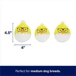 Frisco Spring Easter Egg Hide & Seek Plush Squeaky Dog Toy 2 Frisco Spring Easter Egg Hide & Seek Plush Squeaky Dog Toy -Frisco Sales Store 248037 PT2. AC SS1800 V1700243718