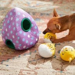 Frisco Spring Easter Egg Hide & Seek Plush Squeaky Dog Toy 4 Frisco Spring Easter Egg Hide & Seek Plush Squeaky Dog Toy -Frisco Sales Store 248037 PT5. AC SS1800 V1608763654
