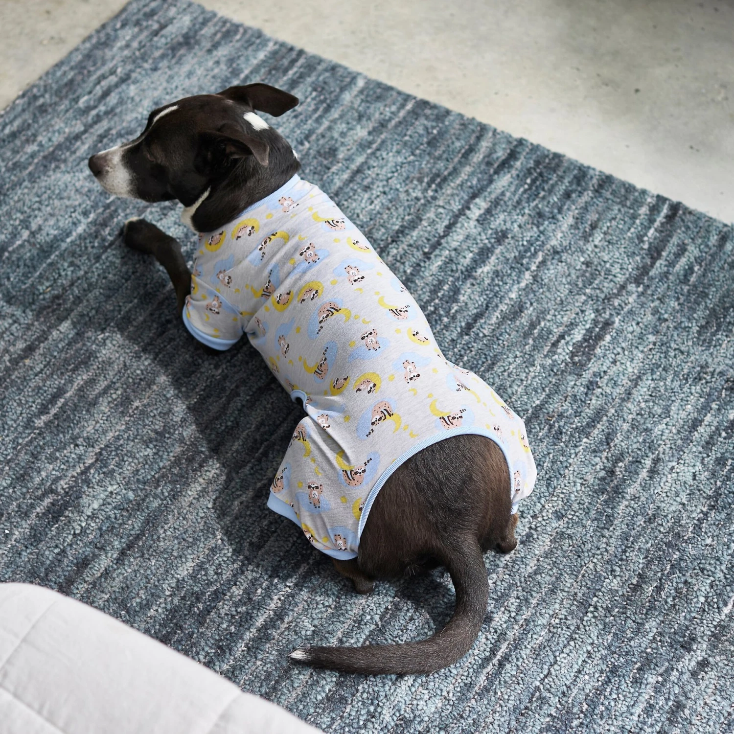Frisco Sleepy Sloths Dog & Cat Jersey PJs Frisco Sleepy Sloths Dog & Cat Jersey PJs -Frisco Sales Store 249144 PT7. AC SS1800 V1614369158