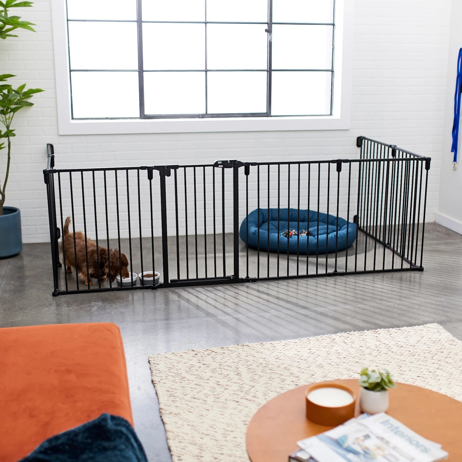 Frisco Steel 8-Panel Configurable Dog Gate & Playpen Frisco Steel 8-Panel Configurable Dog Gate & Playpen -Frisco Sales Store 250603 PT4. AC SS1800 V1615987643