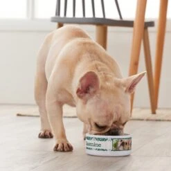 Frisco Boho Damask Ceramic Personalized Dog & Cat Bowl 3 Frisco Boho Damask Ceramic Personalized Dog & Cat Bowl -Frisco Sales Store 250833 PT3. AC SS1800 V1610758070