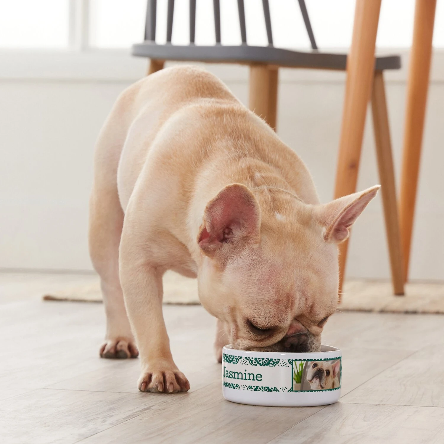 Frisco Boho Damask Ceramic Personalized Dog & Cat Bowl Frisco Boho Damask Ceramic Personalized Dog & Cat Bowl -Frisco Sales Store 250833 PT3. AC SS1800 V1610758070