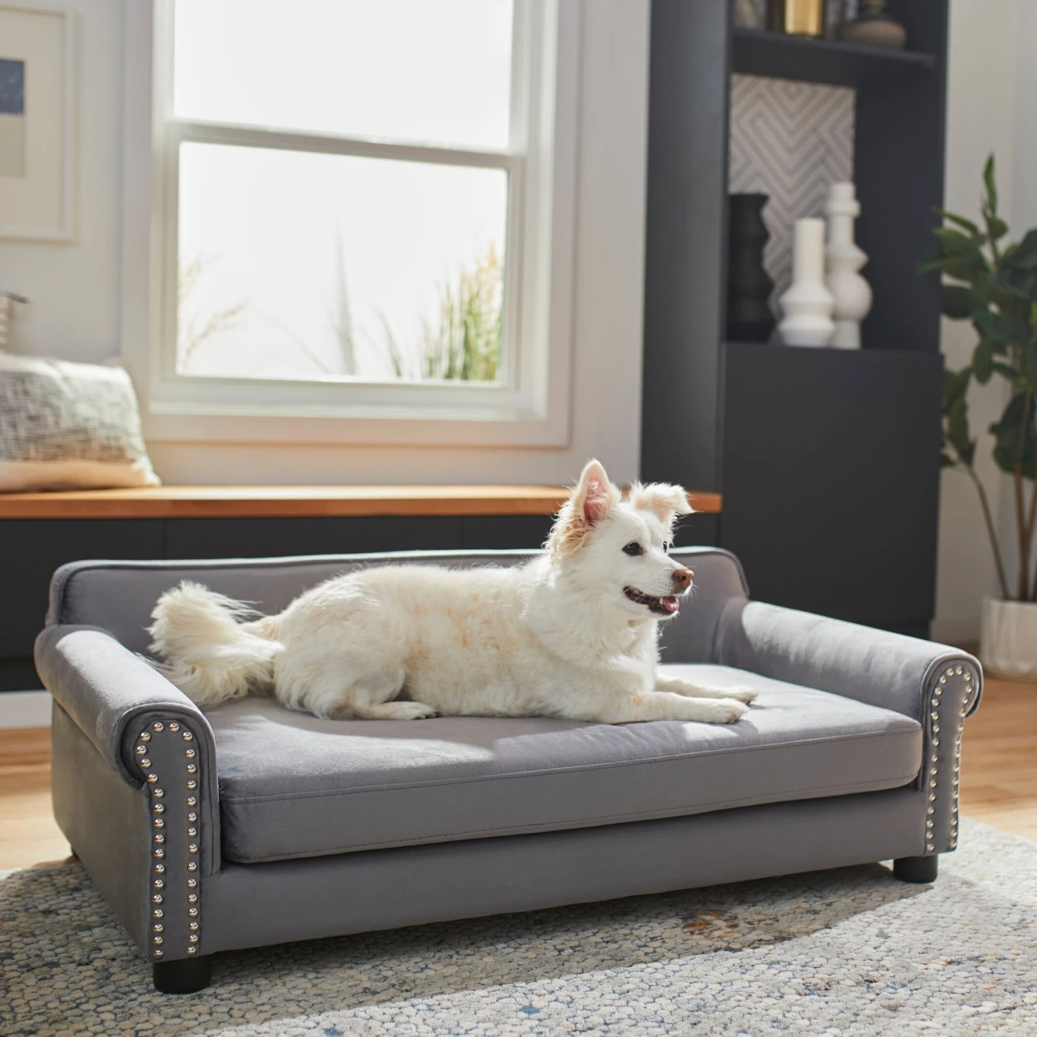 Frisco Sofa Pet Bed with Removable Cover Frisco Sofa Pet Bed With Removable Cover -Frisco Sales Store 252558 MAIN. AC SS1800 V1623790796